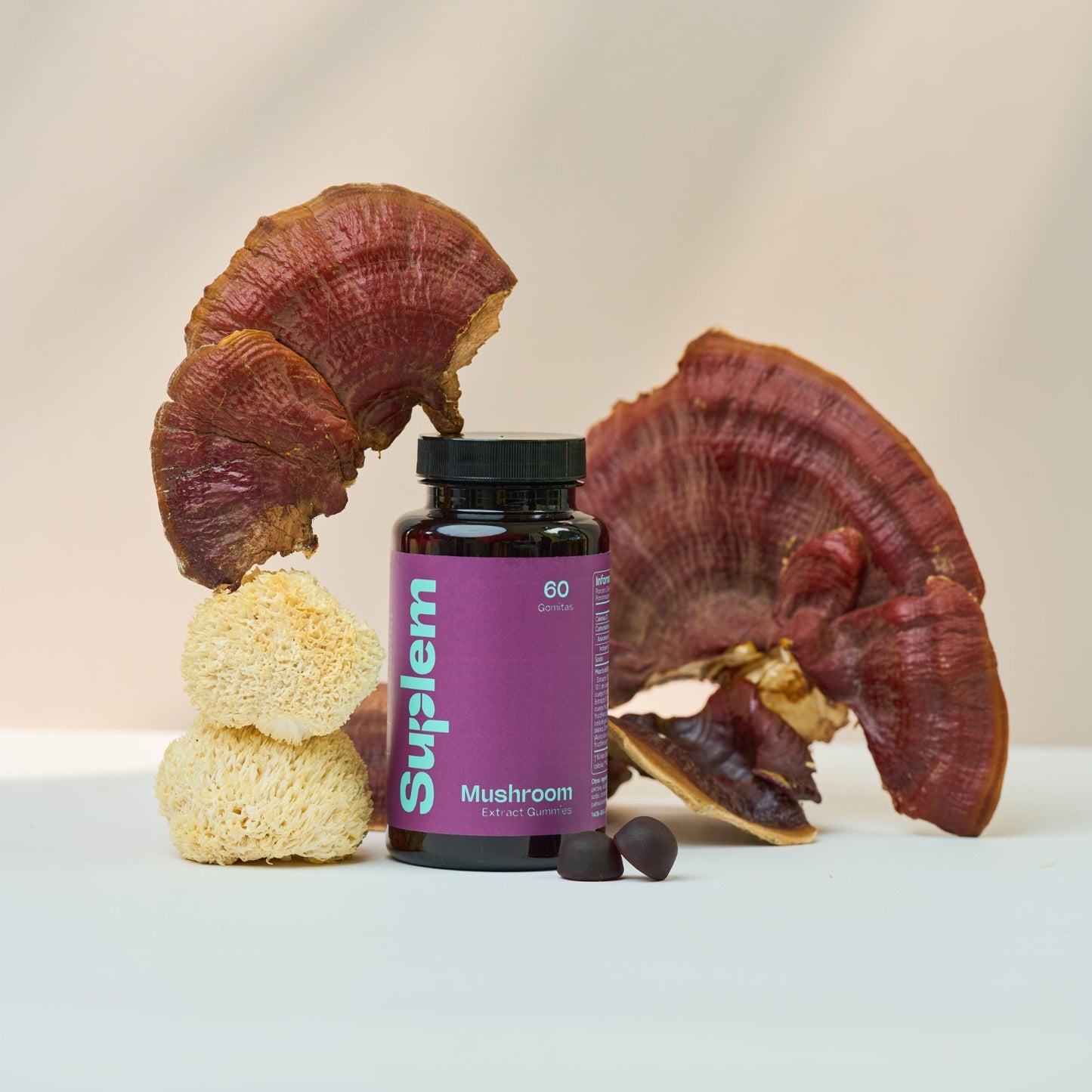 Mushroom Extract Gummies