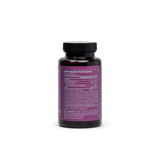 Mushroom Extract Gummies