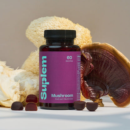 Mushroom Extract Gummies